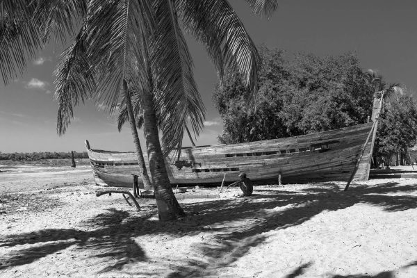 Traditional canoes at the beach